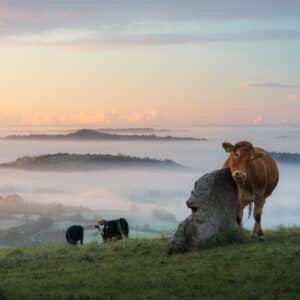 Fine Art Photography Print of the Somerset Levels